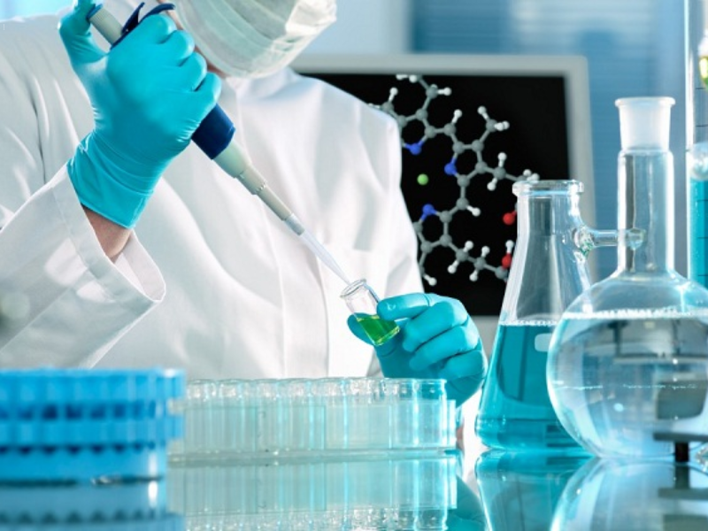 Các chuyên ngành Công nghệ sinh học khi du học Đức Các chuyên ngành Công nghệ sinh học khi du học Đức