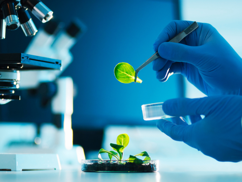 Tại sao nên du học Đức ngành Công nghệ sinh học Tại sao nên du học Đức ngành Công nghệ sinh học